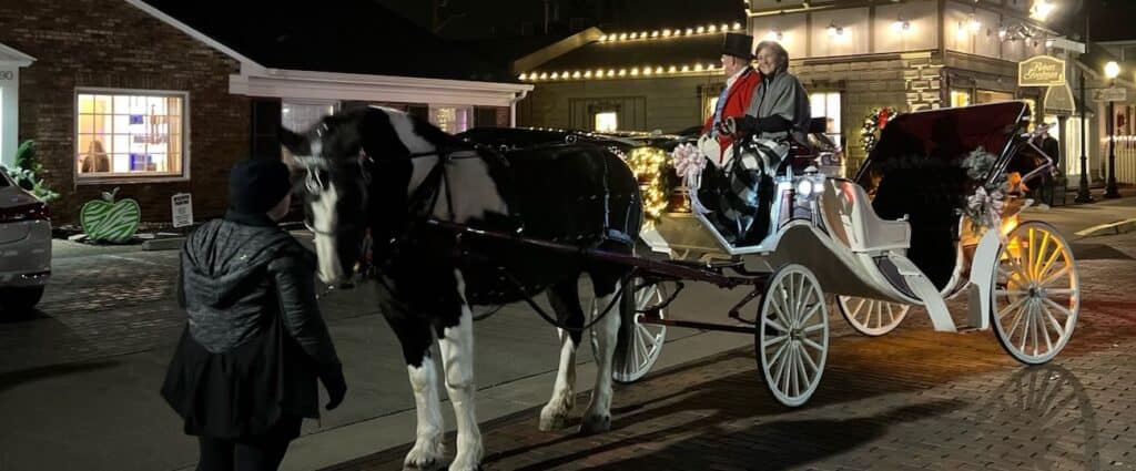 A black and white horse pulls a wooden carriage down a brick street at night.